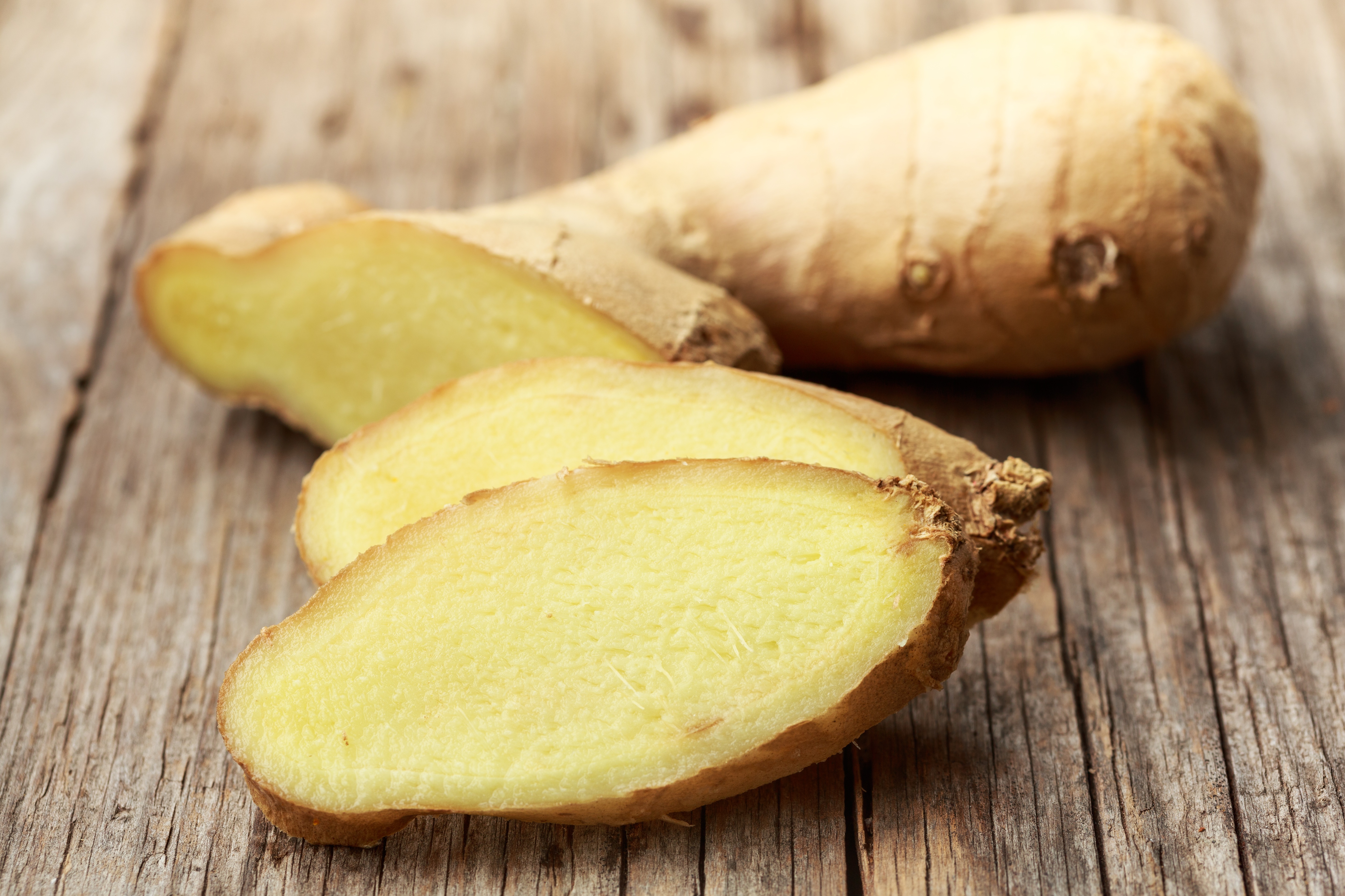 ginger-2523758