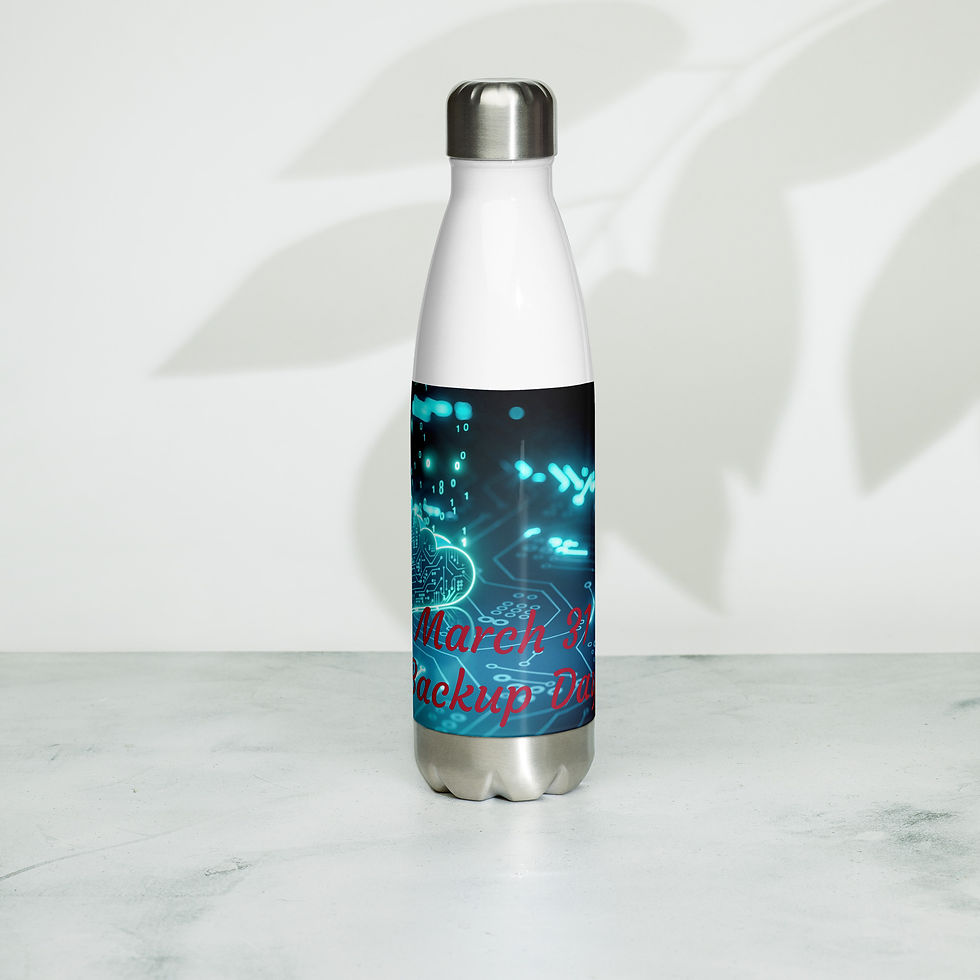 Thumbnail: Stainless steel water bottle March 31 Backup Day