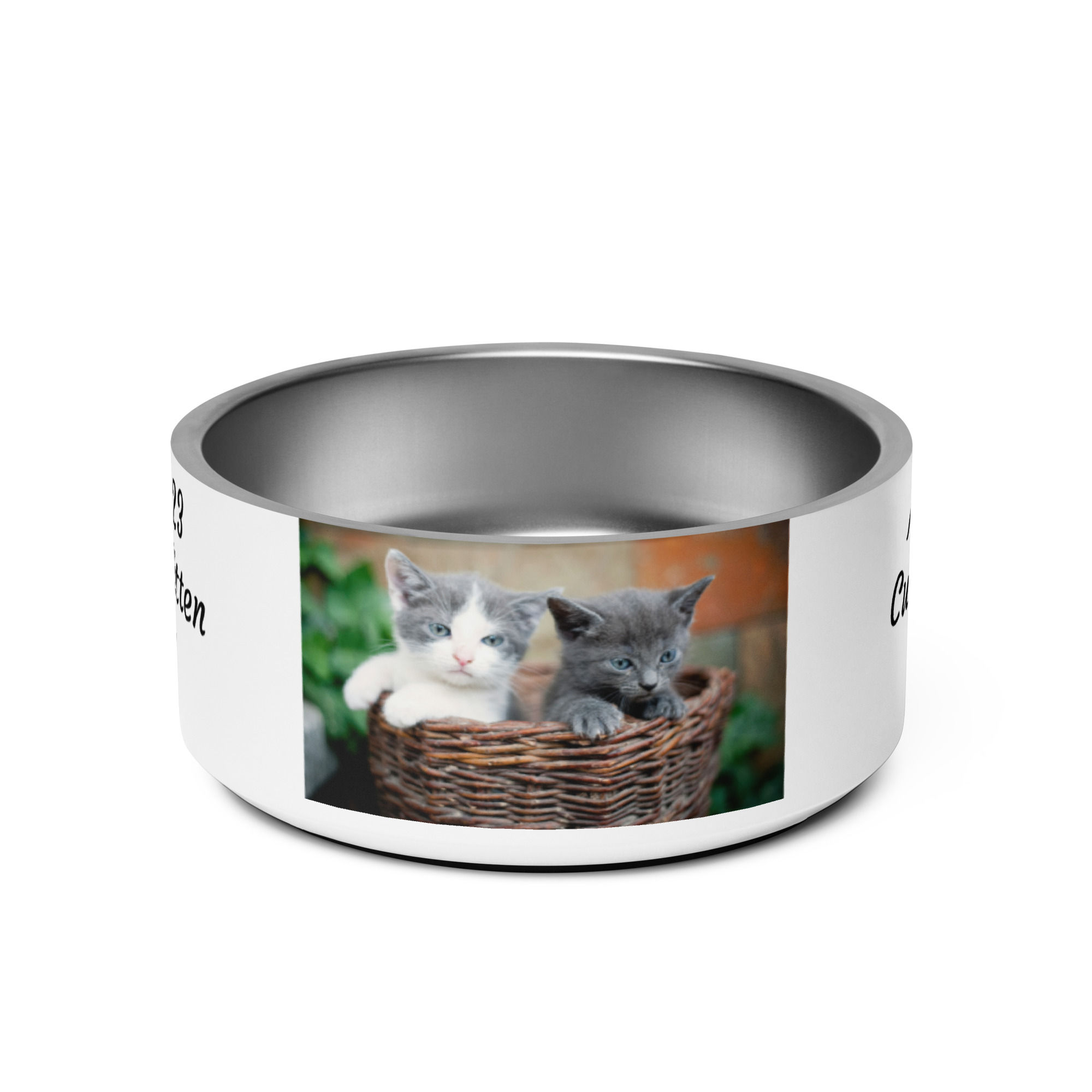 Pet bowl March 23 Cuddly Kitten Day