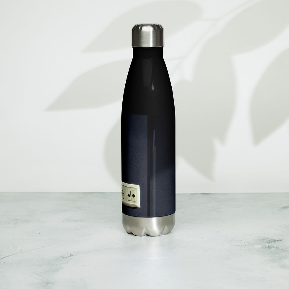 Thumbnail: Stainless steel water bottle March 5 Day of Unplugging
