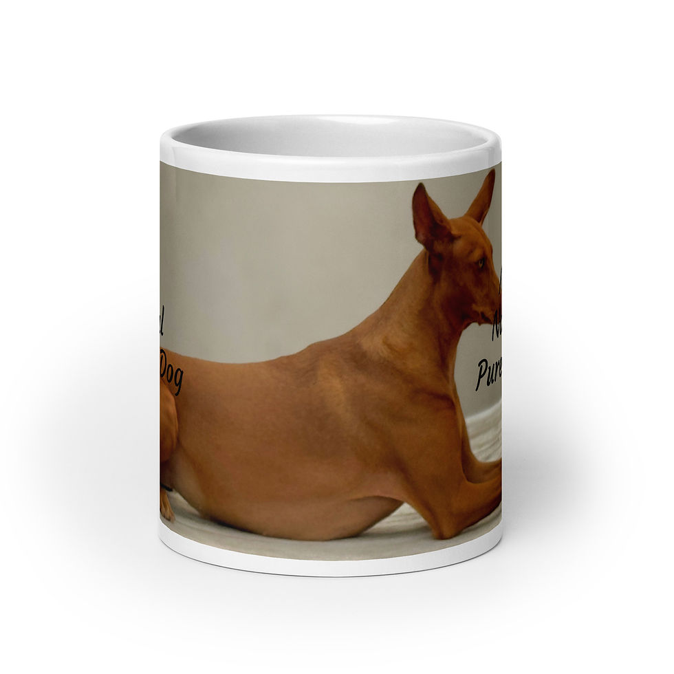 Thumbnail: White glossy mug May 1 National Purebred Dog Day