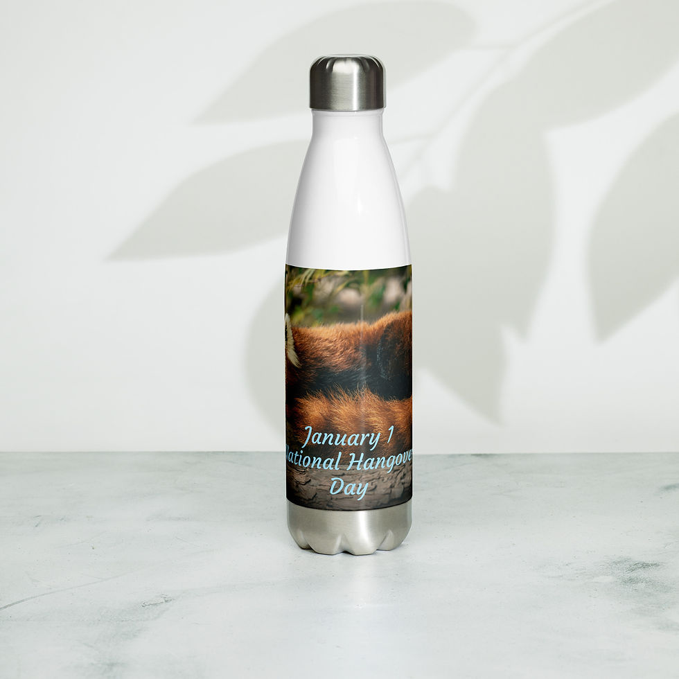 Thumbnail: Stainless steel water bottle January 1 National Hangover Day