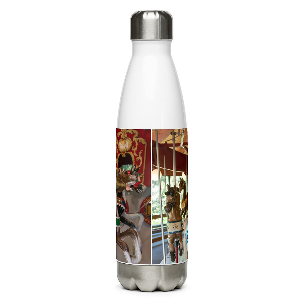 Thumbnail: Stainless steel water bottle July 25 National Merry Go Round Day