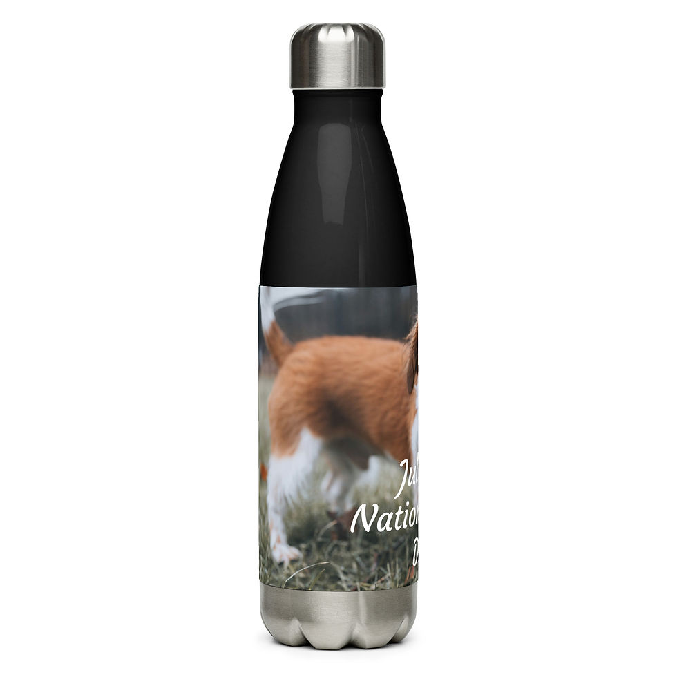 Thumbnail: Stainless steel water bottle July 31 National Mut Day