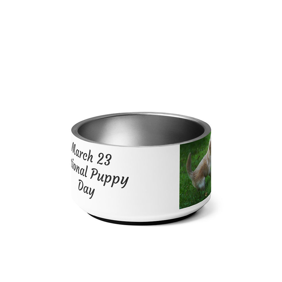 Thumbnail: Pet bowl March 23 National Puppy Day