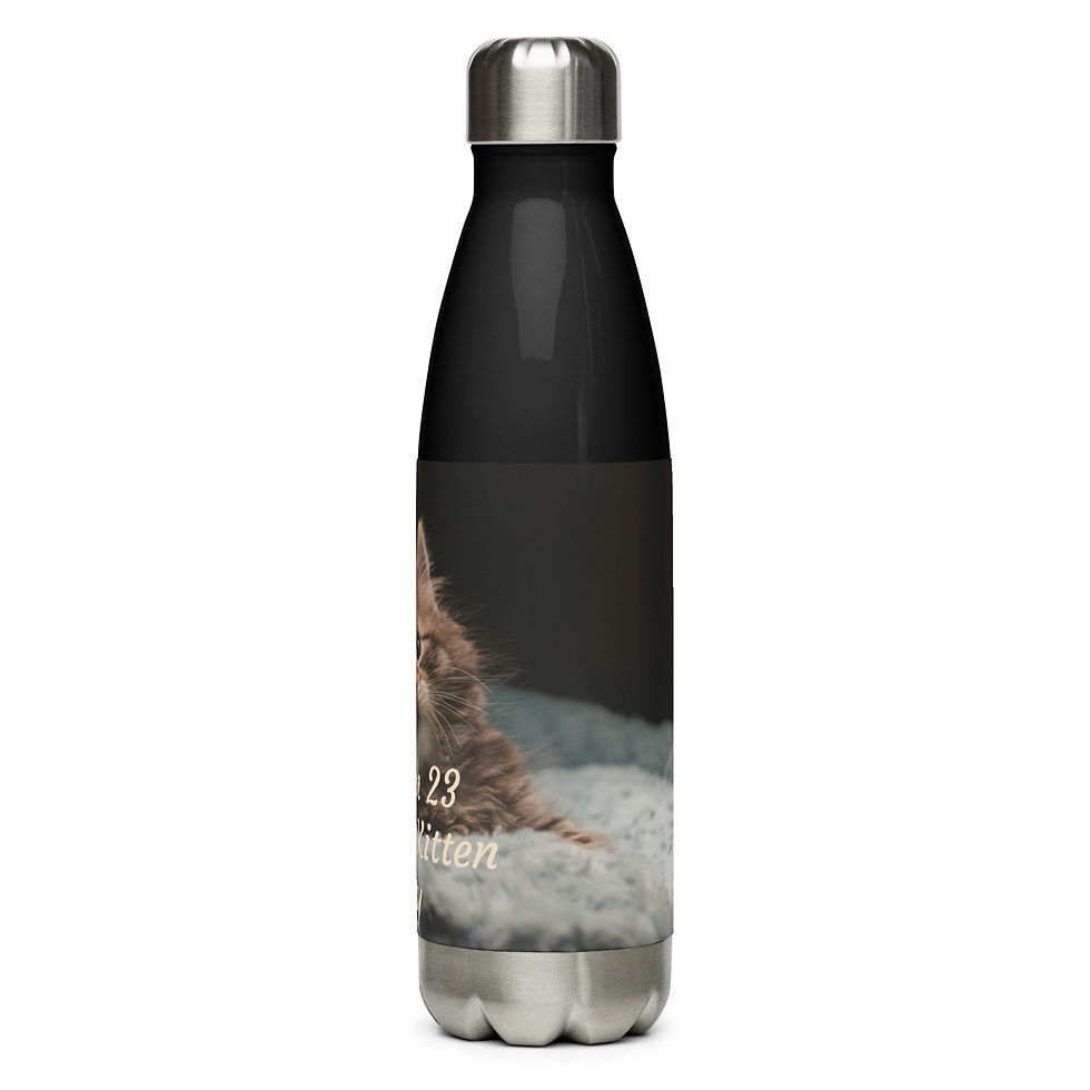 Thumbnail: Stainless steel water bottle March 23 Cuddly Kitten Day