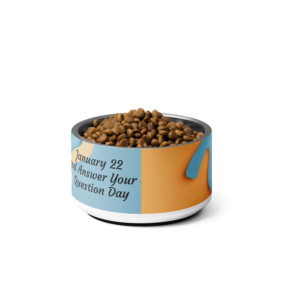 Thumbnail: Pet bowl January 22 National Answer Your Cat's Question Day