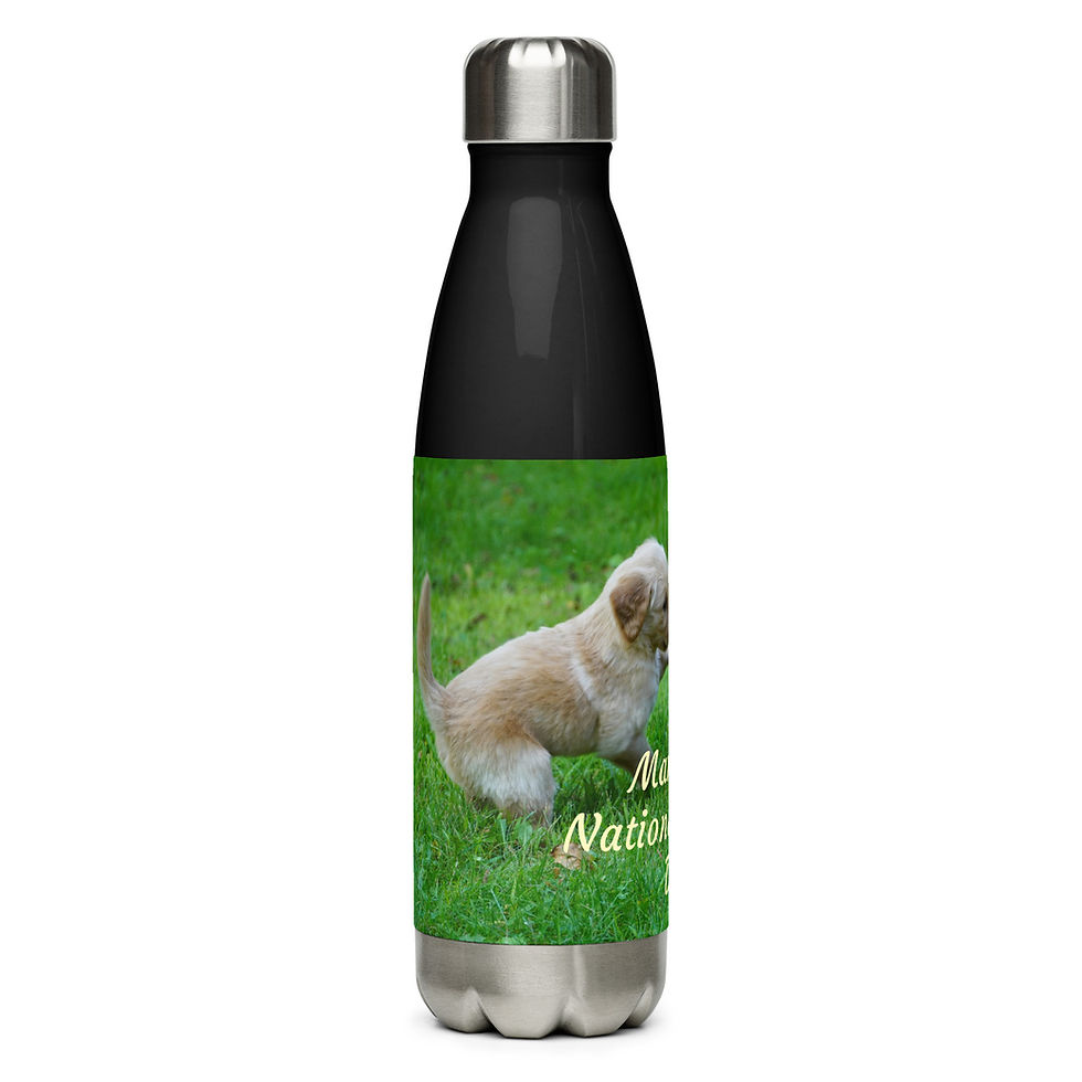 Thumbnail: Stainless steel water bottle March 23 National Puppy Day