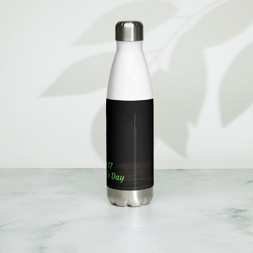 Thumbnail: Stainless steel water bottle March 17 St. Patrick's Day