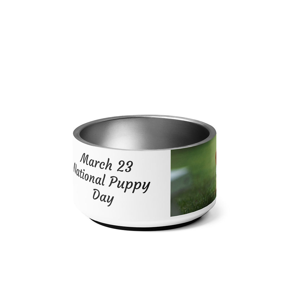 Thumbnail: Pet bowl March 23 National Puppy Day