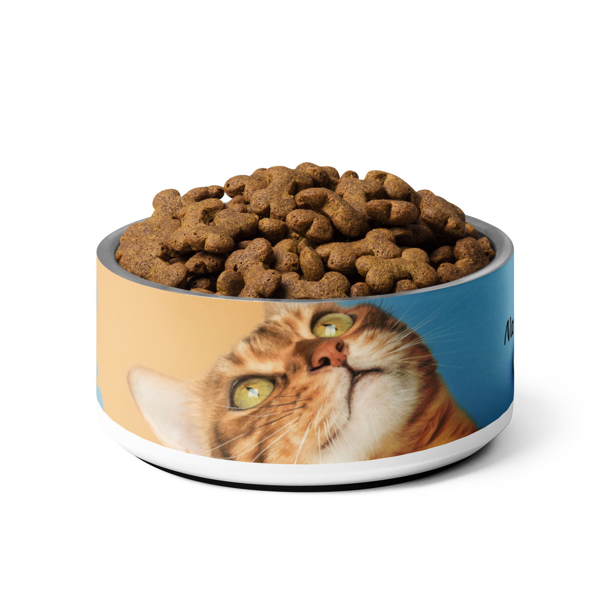 Pet bowl January 22 National Answer Your Cat's Question Day