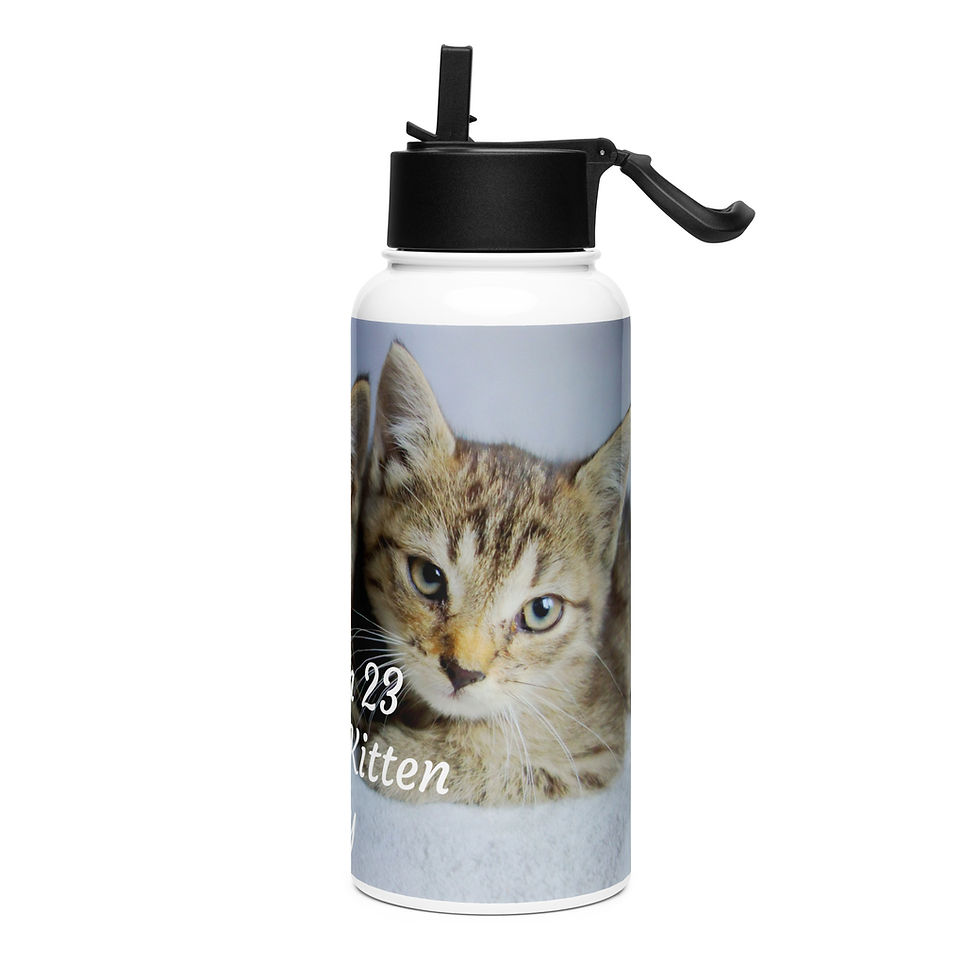 Thumbnail: Stainless steel water bottle with a straw lid March 23 Cuddly Kitten Day