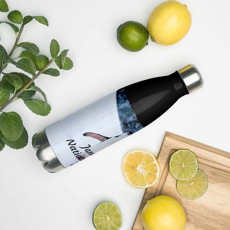 Thumbnail: Stainless steel water bottle January 20 National Penguin Day