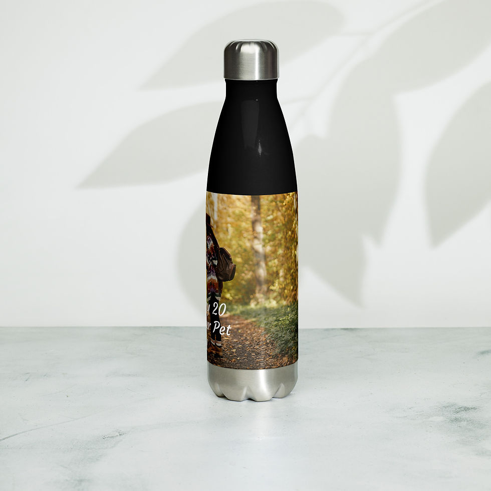 Thumbnail: Stainless steel water bottle February 20 Love Your Pet Day