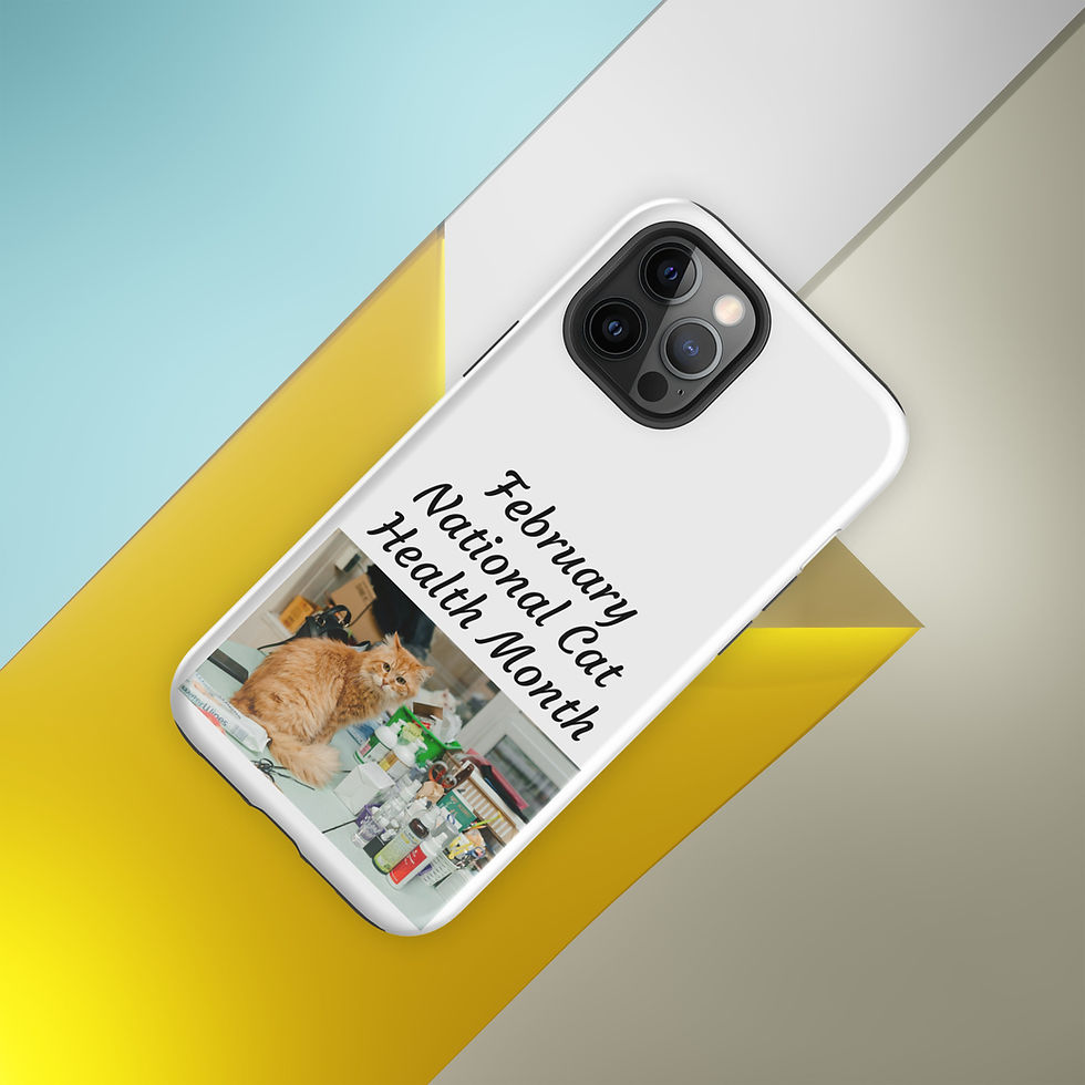 Thumbnail: Tough Case for iPhone® February National Cat Health Month