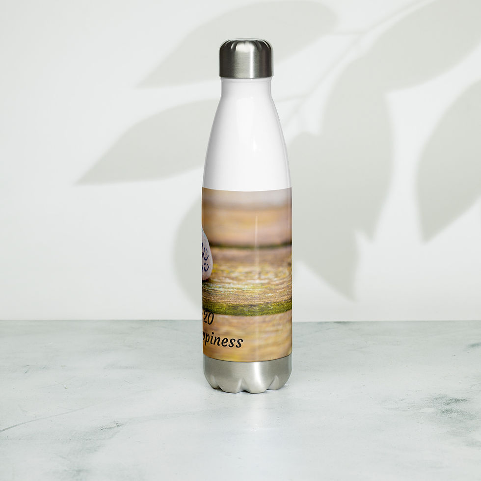 Thumbnail: Stainless steel water bottle March 20 Day of Happiness