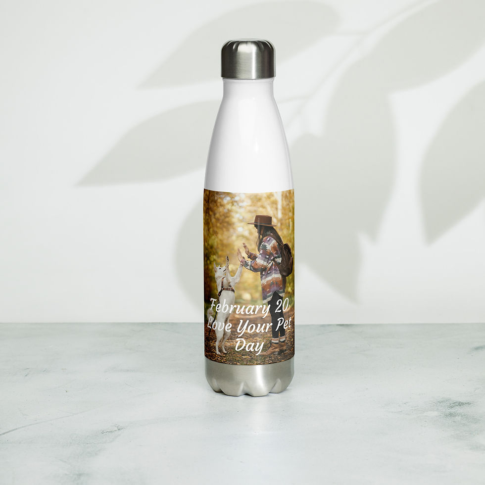 Thumbnail: Stainless steel water bottle February 20 Love Your Pet Day