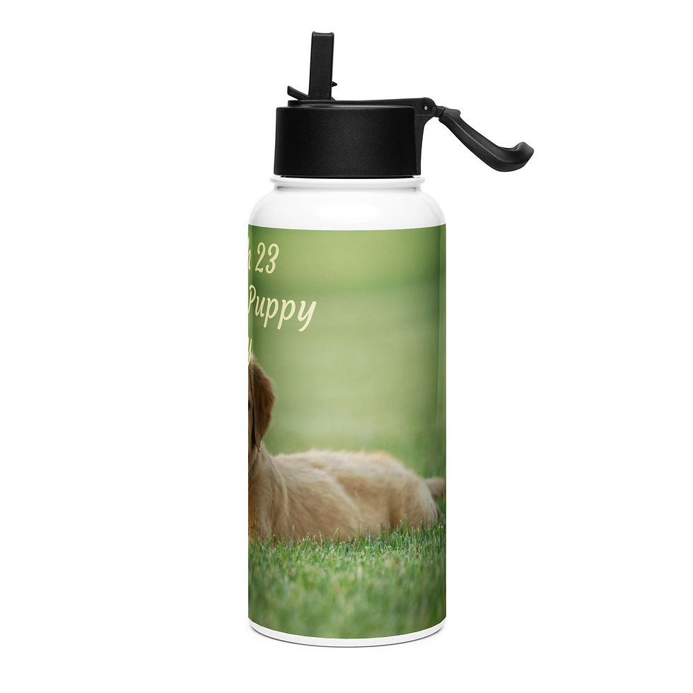 Thumbnail: Stainless steel water bottle with a straw lid March 23 National Puppy Day