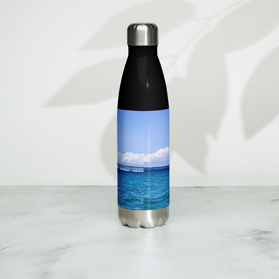 Thumbnail: Stainless steel water bottle March 5 Great Lakes Day