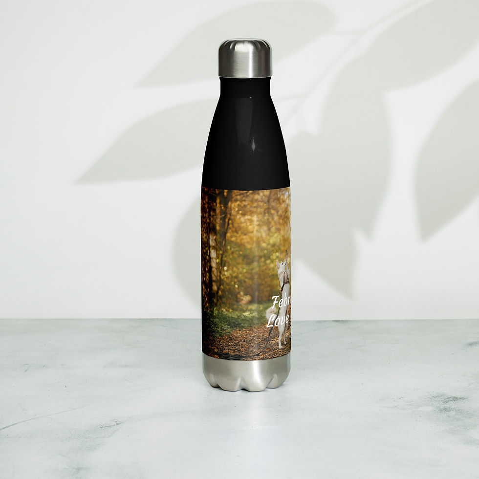Thumbnail: Stainless steel water bottle February 20 Love Your Pet Day
