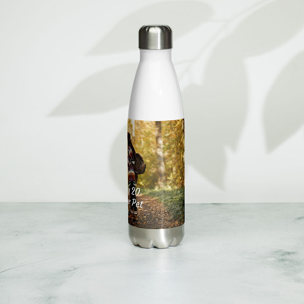 Thumbnail: Stainless steel water bottle February 20 Love Your Pet Day