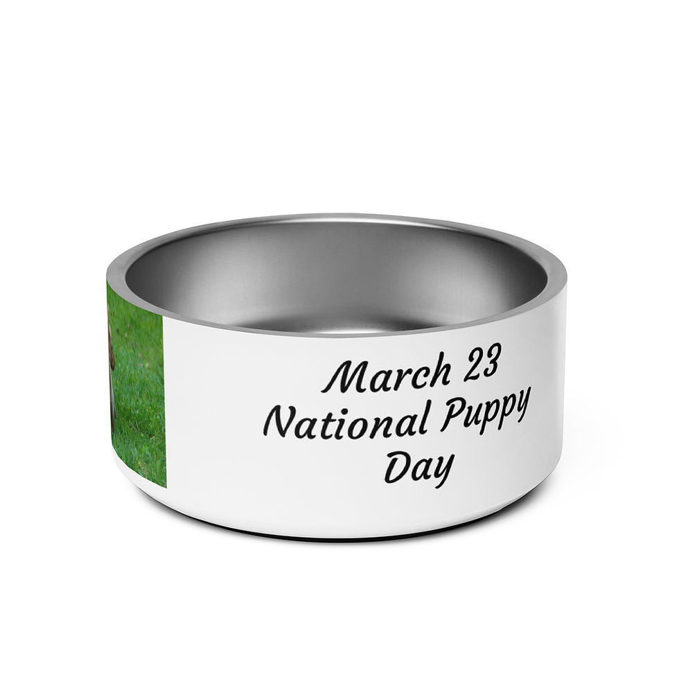 Thumbnail: Pet bowl March 23 National Puppy Day