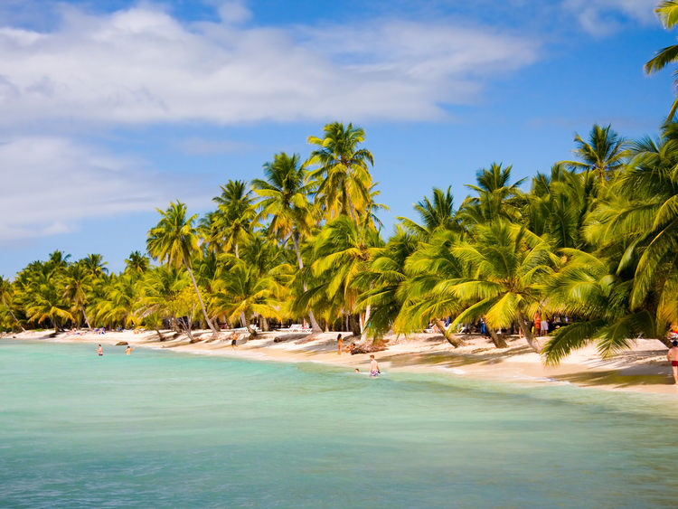 Saona
