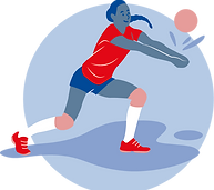PictosFSGT-Volleyball.png