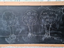 Crónica semanal - 17 de noviembre 