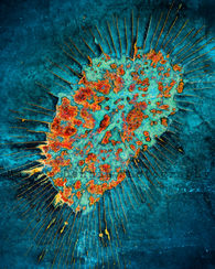 Space Amoeba 16x20 Watermark.jpg