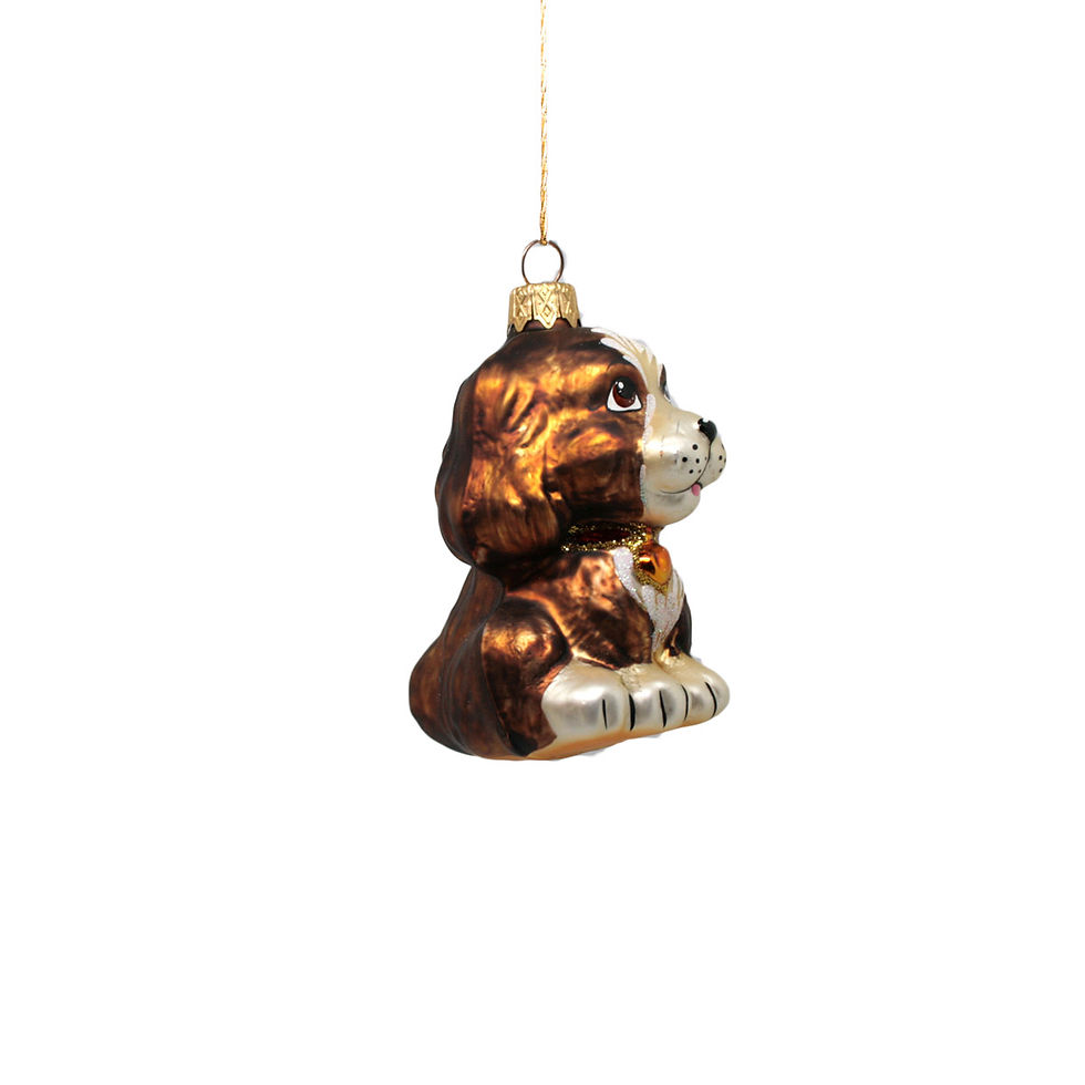 Miniatura: Cagnolino / Funny dog