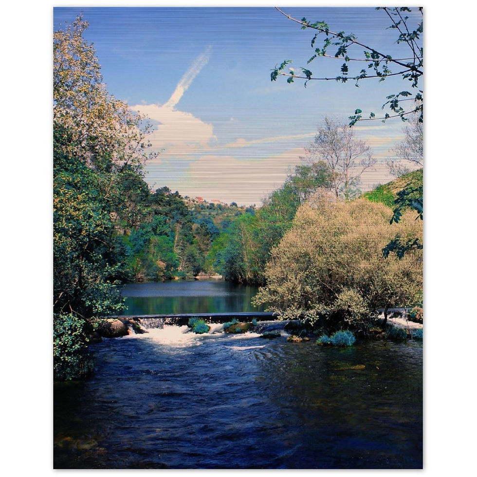 ARTMM PAIVA2 Impression sur aluminium brossé