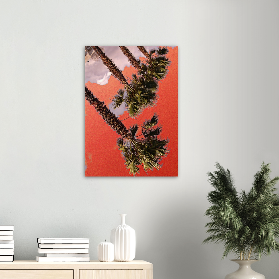 ARTMM MAROC PLM Impression sur aluminium