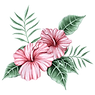 Watercolor%20Flowers_edited.png