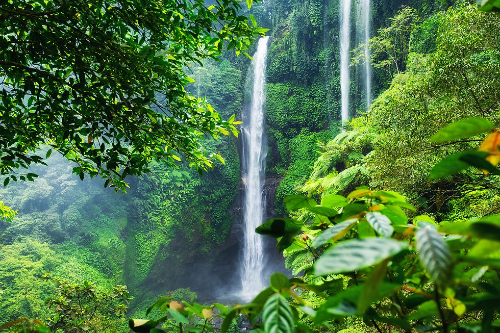 Bali,Voyagedenoces,Honeymoon,holiday,Waterfall, Sekumpul