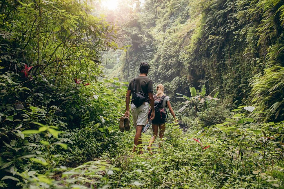 Bali,Voyagedenoces,Honeymoon,holiday,Lake Tamblingan, Jungle,Trekking
