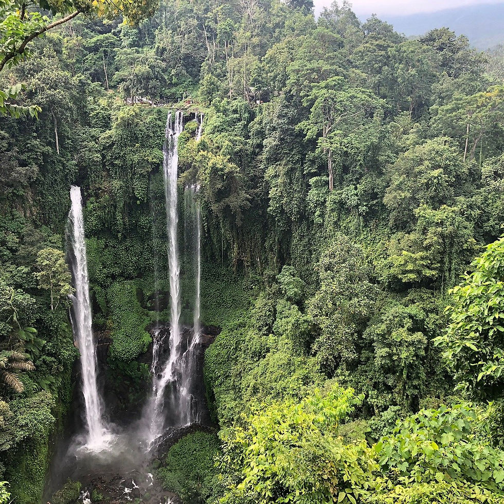 Bali,Voyagedenoces,Honeymoon,holiday,Waterfall, Sekumpul