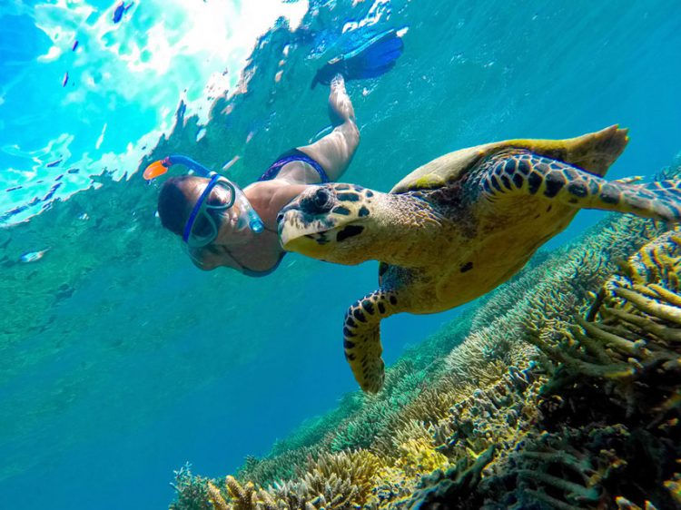 underwater,Komodo,Voyagedenoces,Honeymoon,turtleSnorkeling