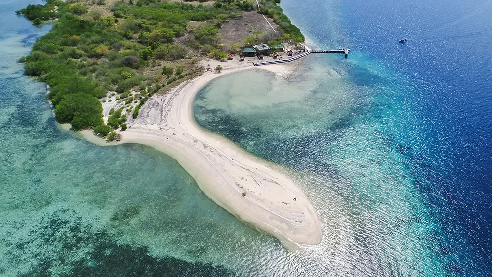 Menjangan island,Bali,Voyagedenoces,Honeymoon,snorkeling,,Scuba,diving