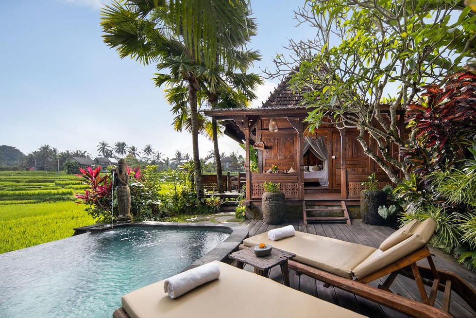 Ubud,Rice, Field,Bali,Voyagedenoces,Honeymoon,holiday