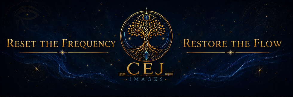 CEJ_Wix_Header_Reset_Restore9_4.png