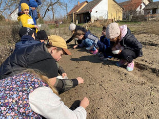 Beporzók napja az iskolakertben🐝🌷