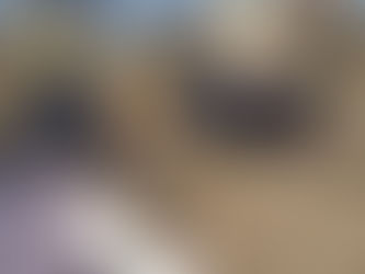 Beporzók napja az iskolakertben🐝🌷