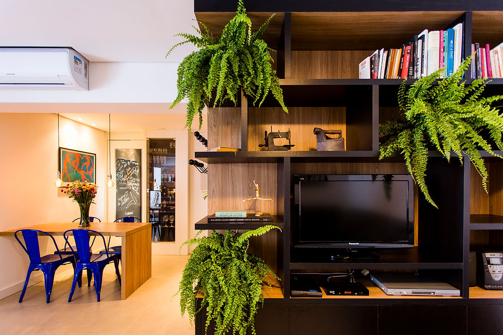 AP CENTRO HISTÓRICO