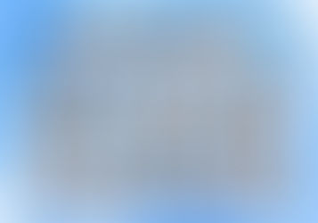 🕊️ Kirepültek a fészekből… 🕊️