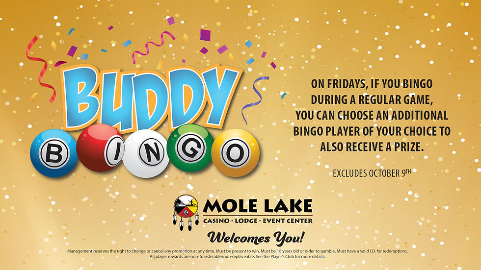 buddy bingo LCD.jpg