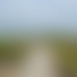 I captured this image in the beautiful Mornington Peninsula National Park, Victoria, Australia. This image motivates me to acknowledge my limiting beliefs and confidently carve my own unique path in life...