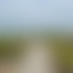 I captured this image in the beautiful Mornington Peninsula National Park, Victoria, Australia. This image motivates me to acknowledge my limiting beliefs and confidently carve my own unique path in life...