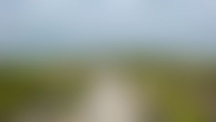 I captured this image in the beautiful Mornington Peninsula National Park, Victoria, Australia. This image motivates me to acknowledge my limiting beliefs and confidently carve my own unique path in life...