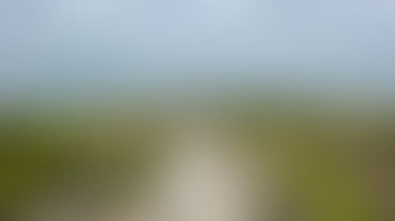 I captured this image in the beautiful Mornington Peninsula National Park, Victoria, Australia. This image motivates me to acknowledge my limiting beliefs and confidently carve my own unique path in life...